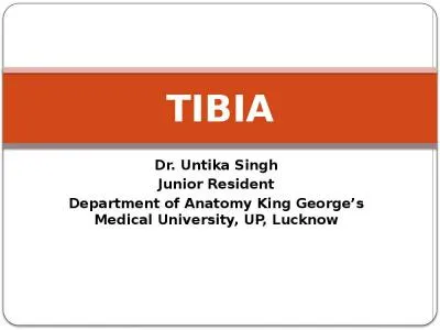 Dr. Untika Singh  Junior Resident