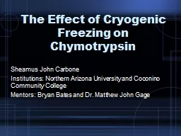 The Effect of Cryogenic Freezing on Chymotrypsin
