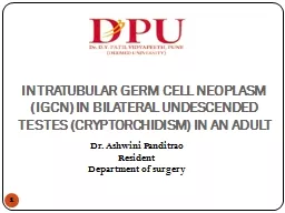 INTRATUBULAR GERM CELL NEOPLASM (IGCN) IN BILATERAL UNDESCENDED TESTES (CRYPTORCHIDISM) IN AN ADULT