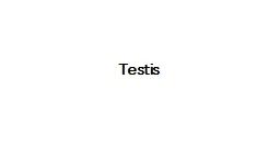Testis   Must know 1-Classification of testicular