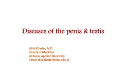 Diseases of the penis & testis