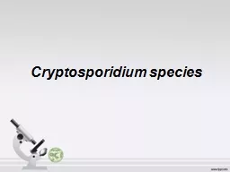 Cryptosporidium species Classification