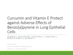 Curcumin and Vitamin E Protect against Adverse Effects of Benzo[a]pyrene in Lung Epithelial Cells
