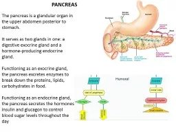 The pancreas is a glandular organ in the upper abdomen posterior to stomach.