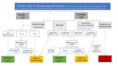 Ovarian cysts in premenopausal