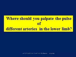 PPT-Where should you palpate the pulse of