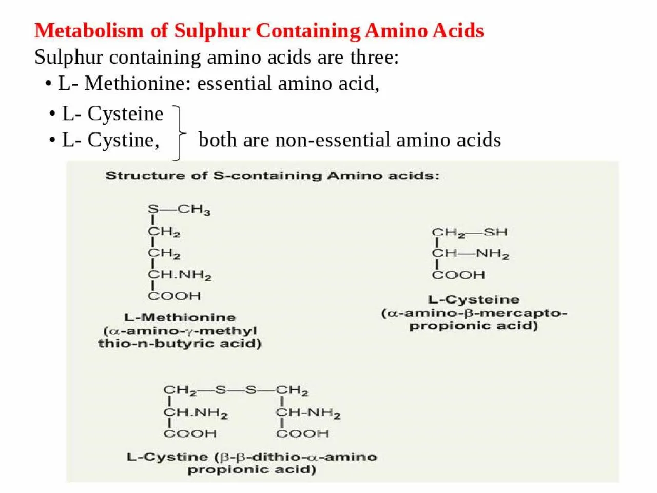 PPT-Metabolism of Sulphur Containing Amino Acids