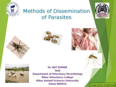 Dr. AJIT KUMAR HoD Department of Veterinary Parasitology