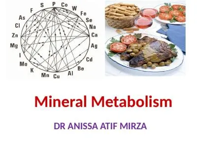 Dr  Anissa Atif Mirza Mineral