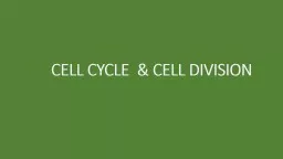 CELL CYCLE  & CELL DIVISION