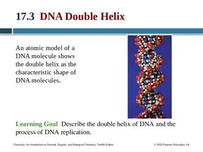 17.3   DNA Double Helix An atomic model of a DNA molecule shows the double helix as the characteris