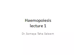 Haemopoiesis lecture 1 Dr. Somaya Taha Saleem