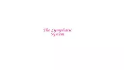 The Lymphatic System Functions
