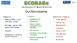 Gut Microbiome Establishment affected by: