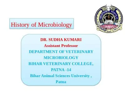 DR. SUDHA KUMARI Assistant