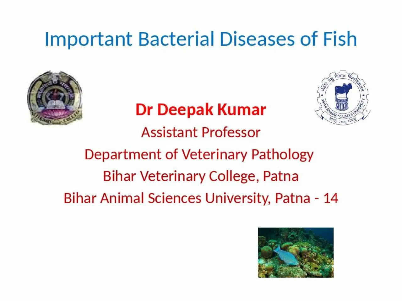 PPT-Important Bacterial Diseases of Fish