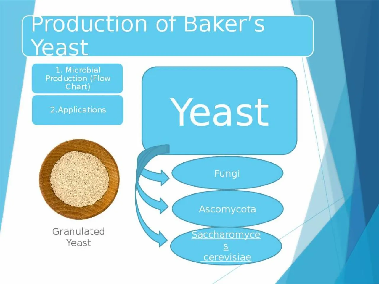 PPT-Production of Baker’s Yeast