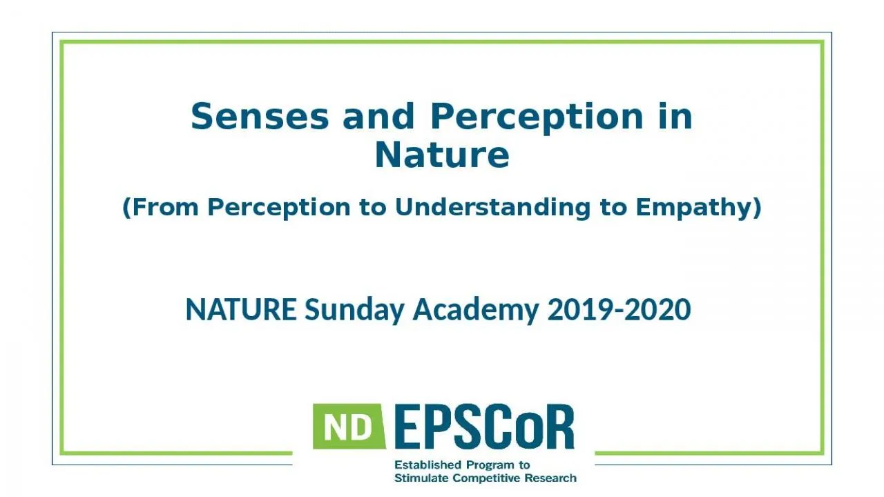 PPT-Senses and Perception in Nature