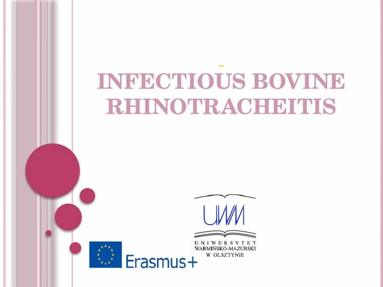 PPT-  INFECTIOUS BOVINE RHINOTRACHEITIS