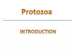 Protozoa   INTRODUCTION