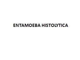 ENTAMOEBA HISTOLYTICA  Entamoeba