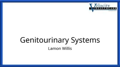 Genitourinary Systems Lamon Willis