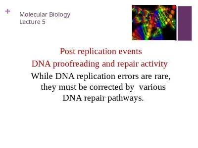 Molecular Biology  Lecture 5