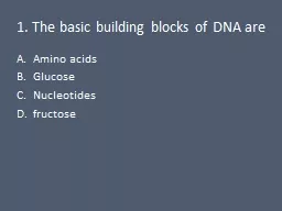 1. The  basic building blocks of DNA are