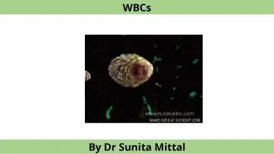 WBCs By  Dr  Sunita Mittal