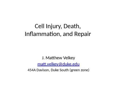 Cell Injury, Death, Inflammation, and Repair