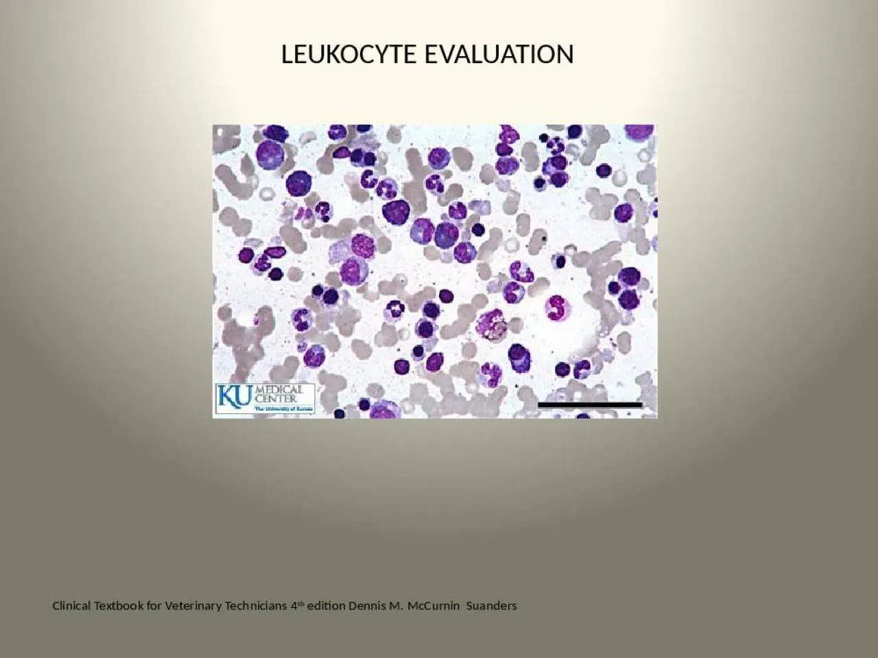 PPT-LEUKOCYTE EVALUATION Clinical Textbook for Veterinary Technicians 4