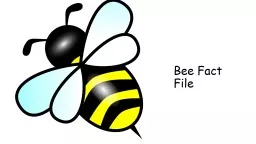 Bee Fact File Honey bees have 6 legs, 2 compound eyes made up of thousands of tiny lenses (one on e