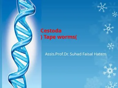 Cestoda   )   Tape worms