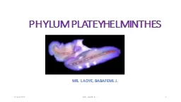 PHYLUM PLATEYHELMINTHES