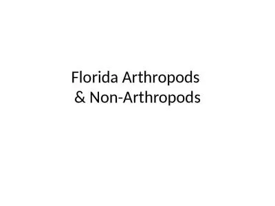 Florida Arthropods  & Non-Arthropods