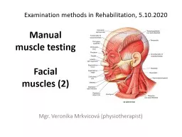 Manual   muscle   testing