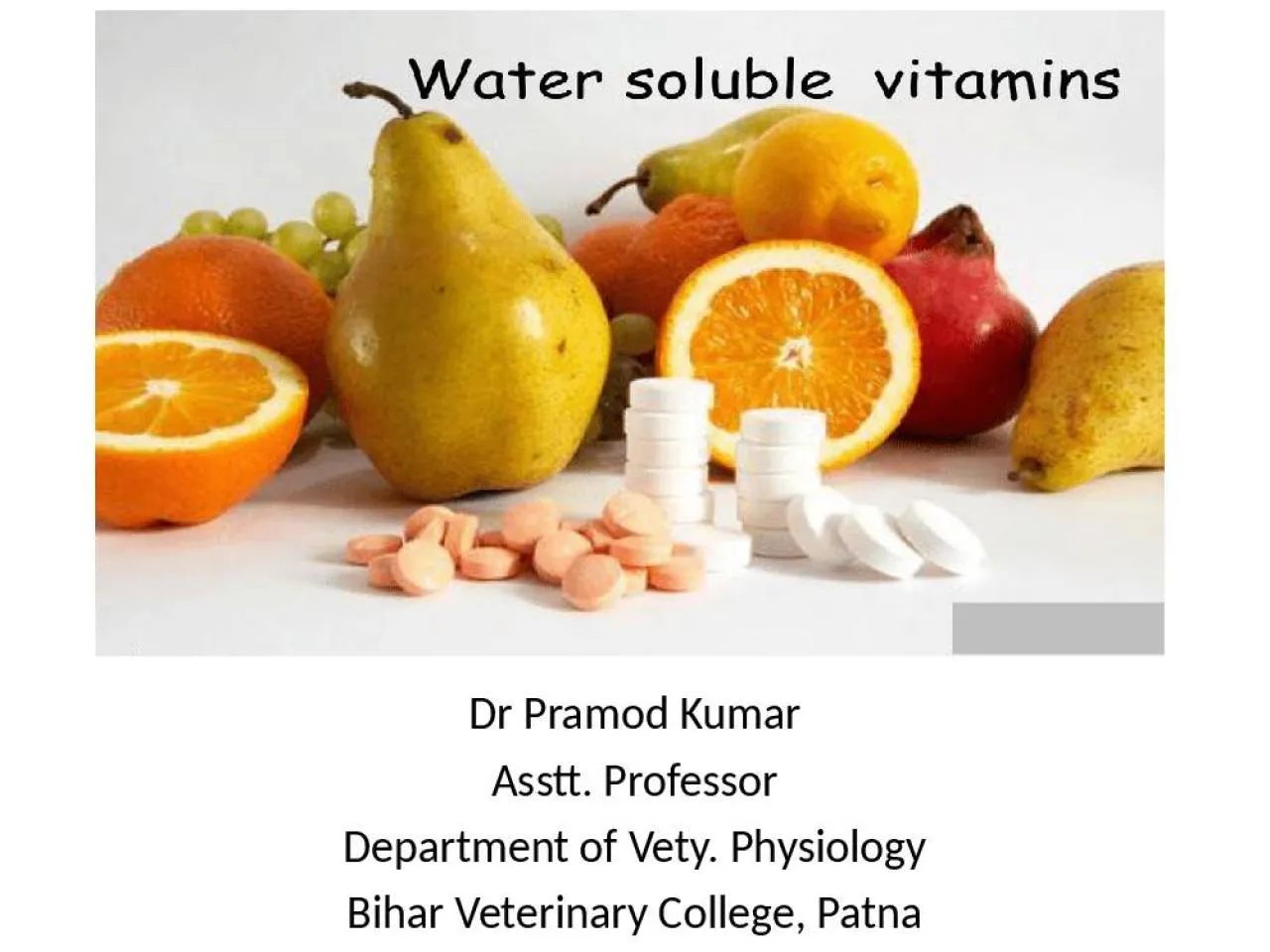 PPT-Dr Pramod Kumar Asstt . Professor