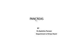 PANCREAS          BY