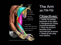 The Arm pp.739-752 Objectives: