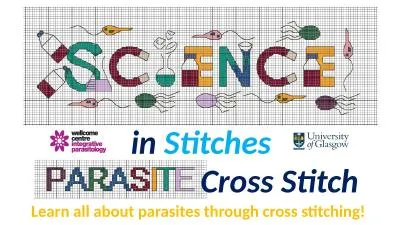 in  Stitches Cross Stitch