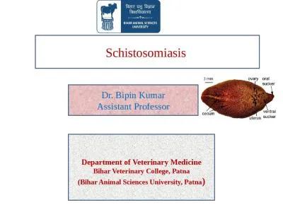 Schistosomiasis   Dr.  Bipin