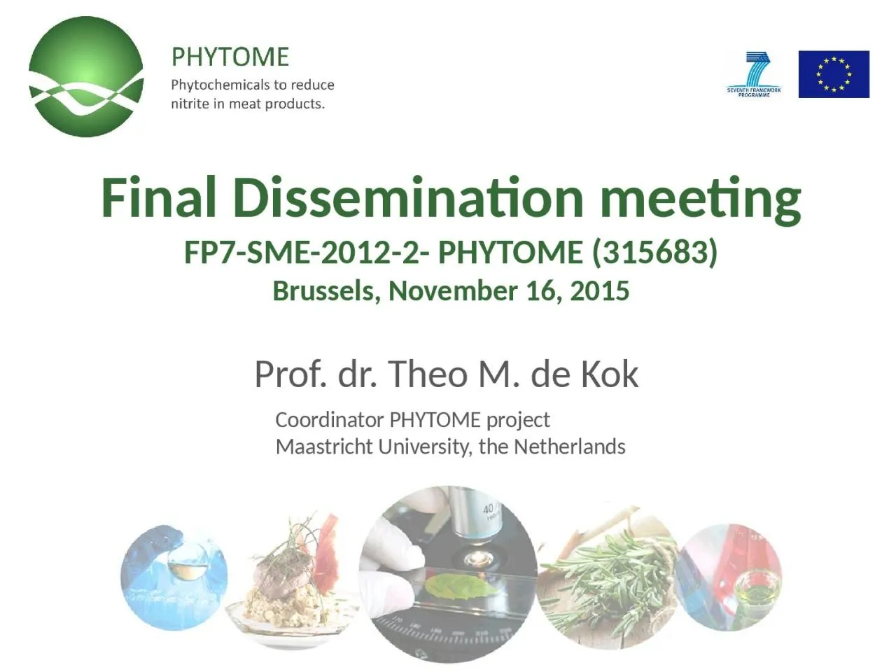 PPT-Final Dissemination meeting