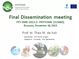Final Dissemination meeting