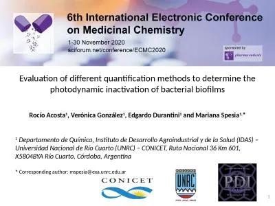 Evaluation of different quantification methods to determine the photodynamic inactivation