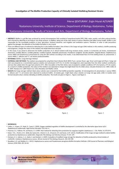 Investigation of The Biofilm Production Capacity of Clinically İsolated Multidrug Resistant