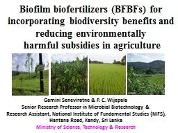 Biofilm  biofertilizers  (BFBFs) for
