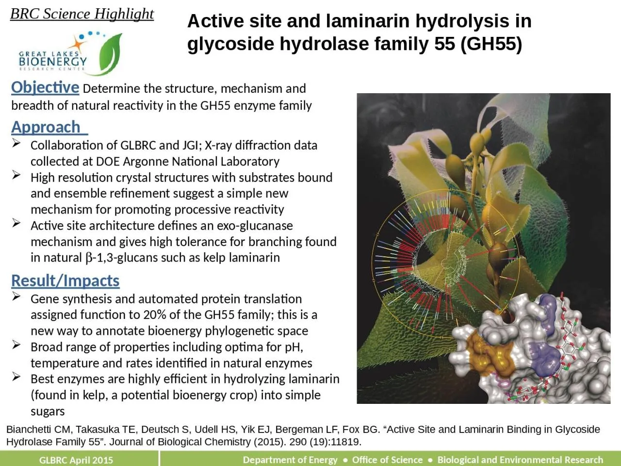 PPT-Active site and laminarin hydrolysis in glycoside hydrolase family 55 (GH55)