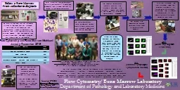 Flow Cytometry/ Bone Marrow Laboratory