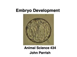 Embryo Development Animal Science 434
