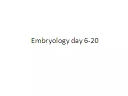 PPT-Embryology day 6-20 First, Embryology in context